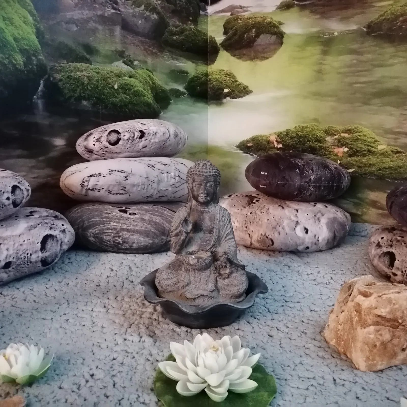 Escuela De Yoga Ananda — yoga-studio en Reinosa — 4