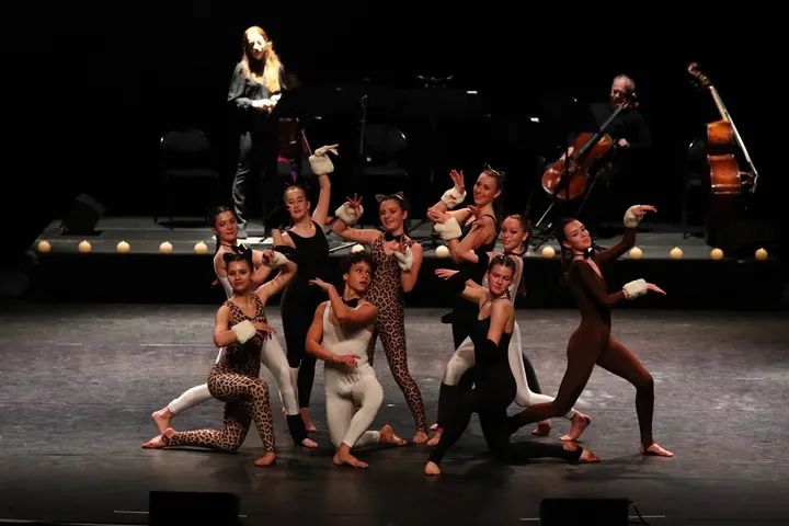 ACADEMIE DE BALLET NINI THEILADE — danse-studio à Terreaux, Lyon — 3