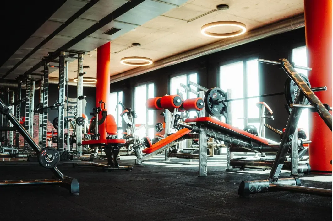 Fit Star — pt-studio in 15.1, München — 2