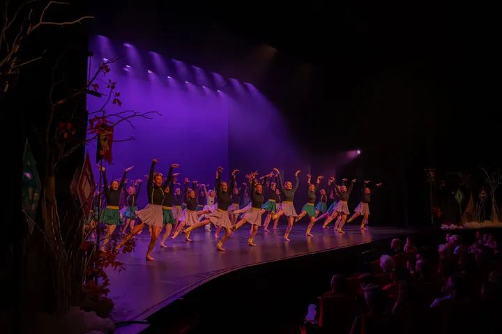 Dansstudio LIEZ — Dans in Culemborg