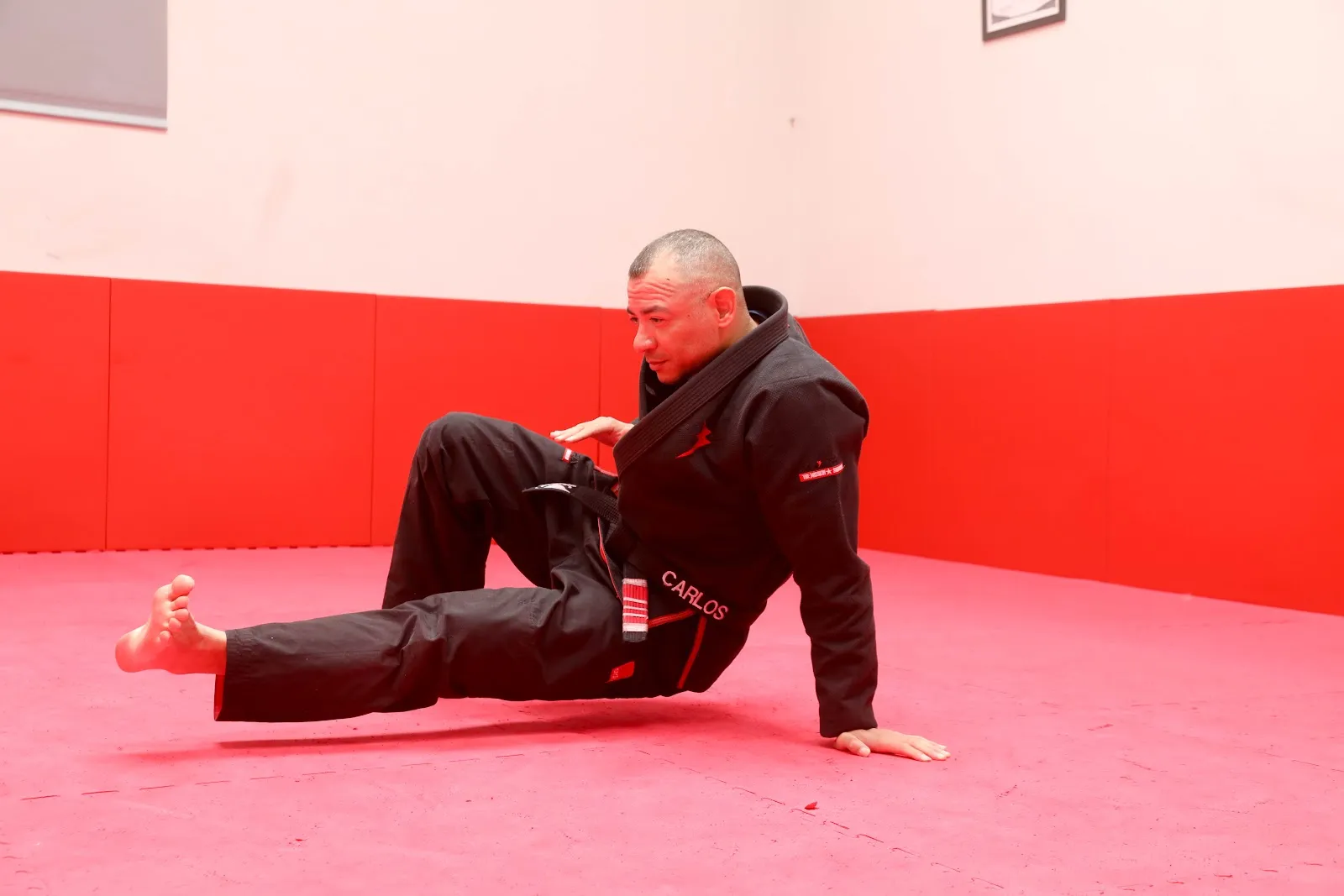 BRAZILIAN JIU-JITSU ACADEMY PROF CARLOS TOTA — artes marciales-studio en Donostia / San Sebastián — 3