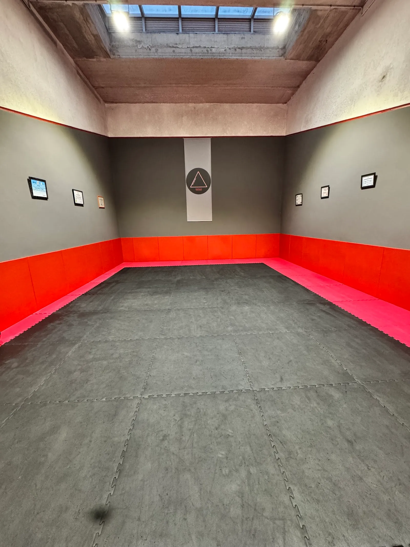 BRAZILIAN JIU-JITSU ACADEMY PROF CARLOS TOTA — artes marciales-studio en Donostia / San Sebastián — 3