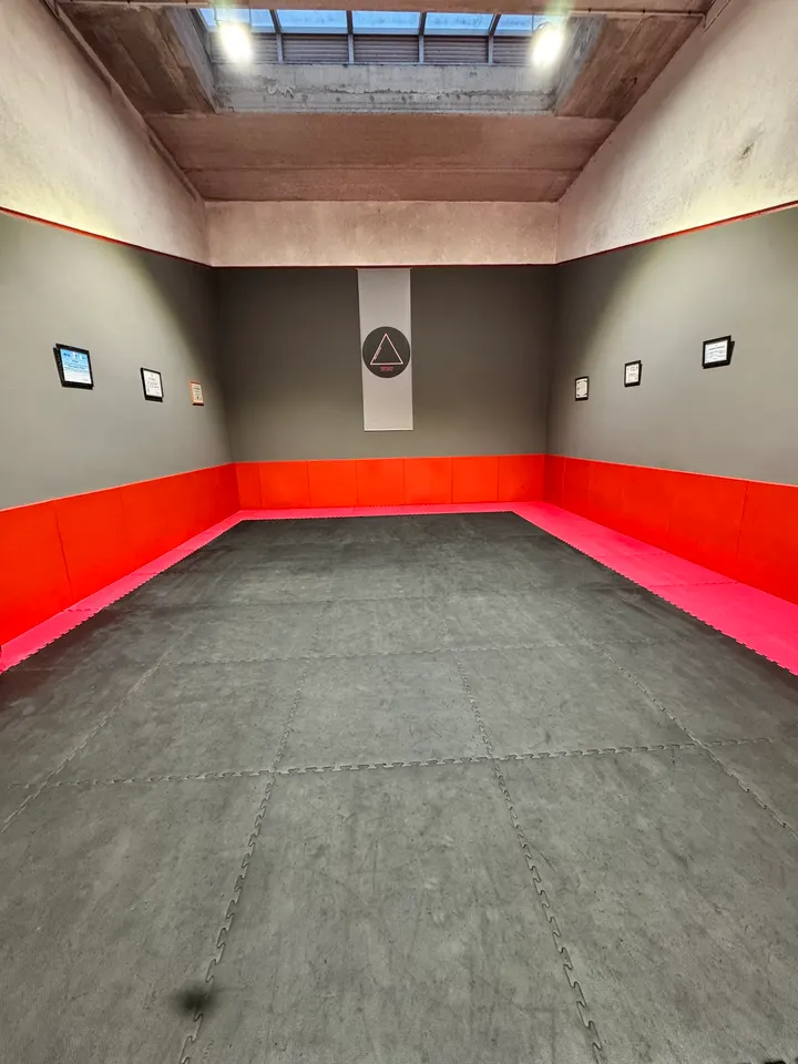 BRAZILIAN JIU-JITSU ACADEMY PROF CARLOS TOTA — artes marciales-studio en San Sebastián — 3