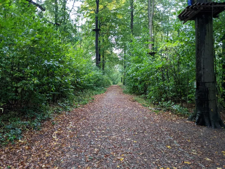 Kletterpark Bielefeld am Johannisberg — klettern-studio in Gadderbaum, Bielefeld — 2