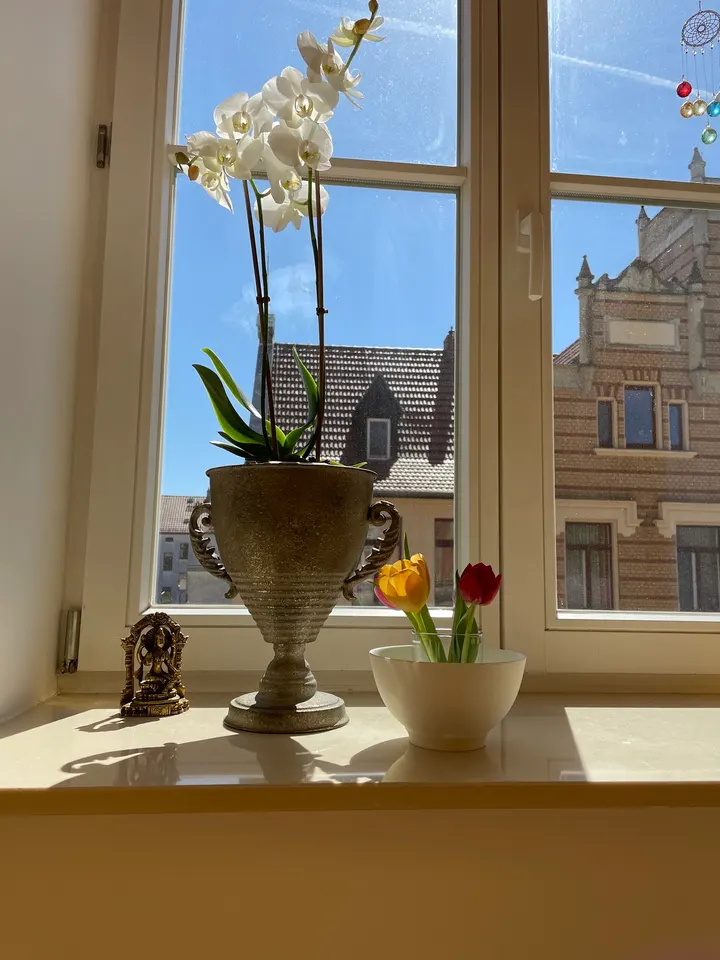 Sonnenschein Yoga — yoga-studio in Bad Liebenwerda — 3