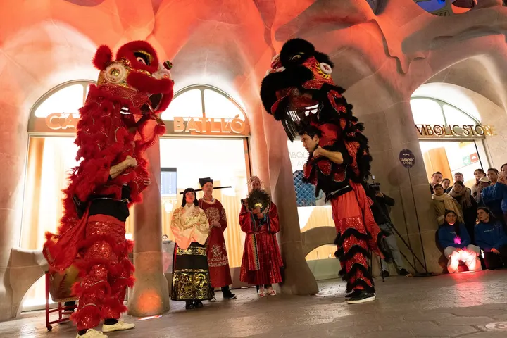 Escola Kungfu Dao Barcelona — artes marciales-studio en Barcelona — 4