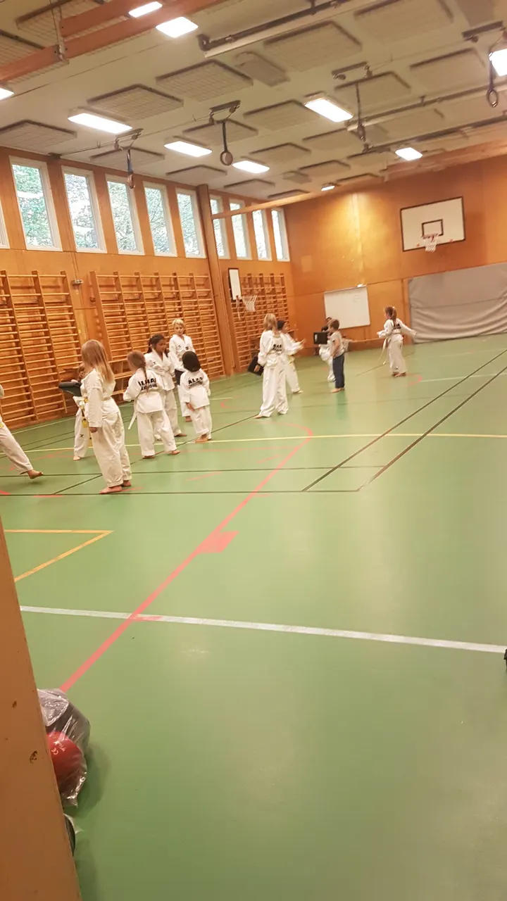 Alhaj Taekwondoklubb — kampsport-studio i Stockholm — 3