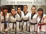 Alhaj Taekwondoklubb — martial arts-studio in Åkersberga, Stockholm — 3