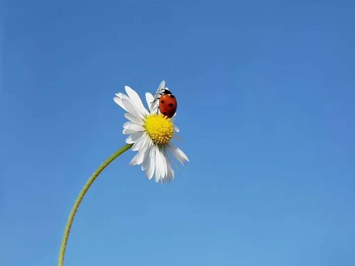 Mindfulness Genoa — meditazione-studio a Genova — 3