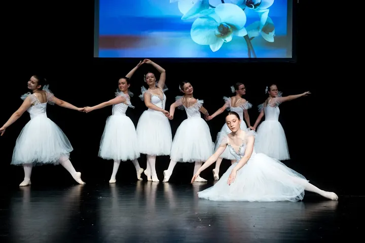 Kinderballett Frankfurt — tanz-studio in Nordend Ost, Frankfurt am Main — 3