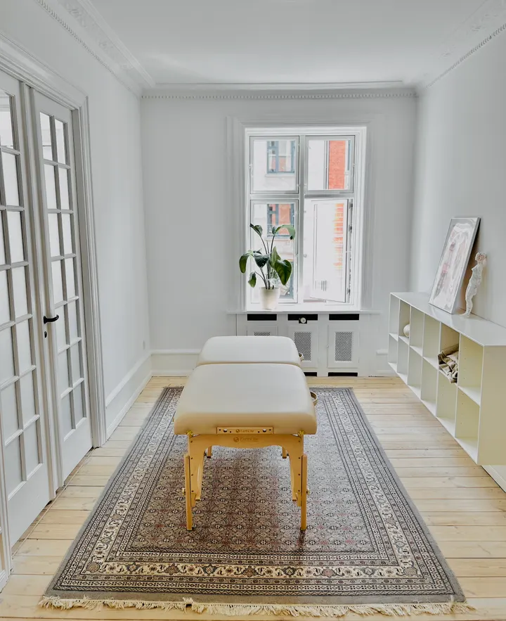 Body Flow Studio Denmark — træningsstudio i Indre By, København — 2