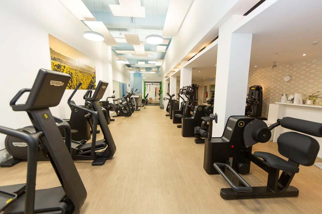 Reha-Fit Rheingau — pt-studio i Mainz — 3
