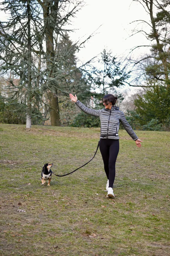 Aktiv mit Hund — bootcamp-studio in Eppendorf, Hamburg — 2