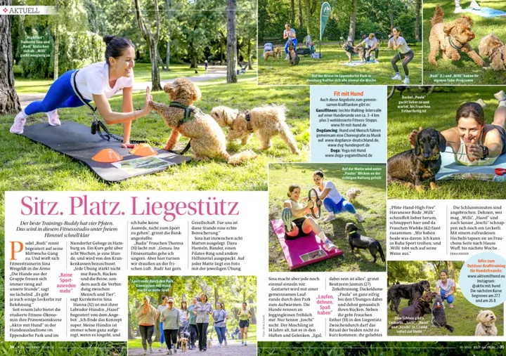 Aktiv mit Hund — bootcamp-studio in Hamburg — 4