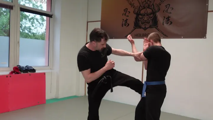 Ninjutsu-Akademie Heilbronn — kampfsport-studio in Kernstadt, Heilbronn — 3