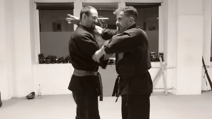 Ninjutsu-Akademie Heilbronn — kampfsport-studio in Heilbronn — 3