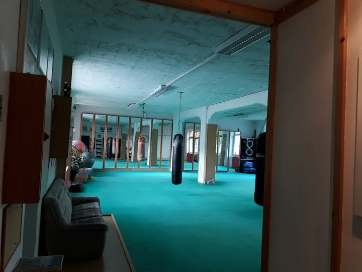 Ninjutsu-Akademie Heilbronn — Kampfsport in Kernstadt, Heilbronn
