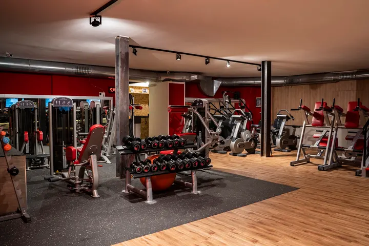 PPT Gym Experience — palestre-studio a Vicaria, Napoli — 2