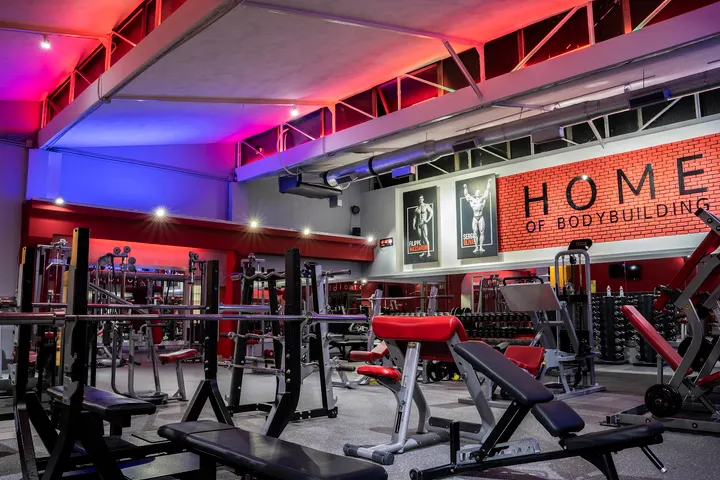 PPT Gym Experience — Palestre a Vicaria, Napoli