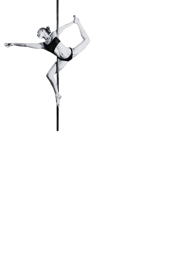 POLE DANCE PALERMO PARADISE SCHOOL — pole dance-studio a Palermo — 3