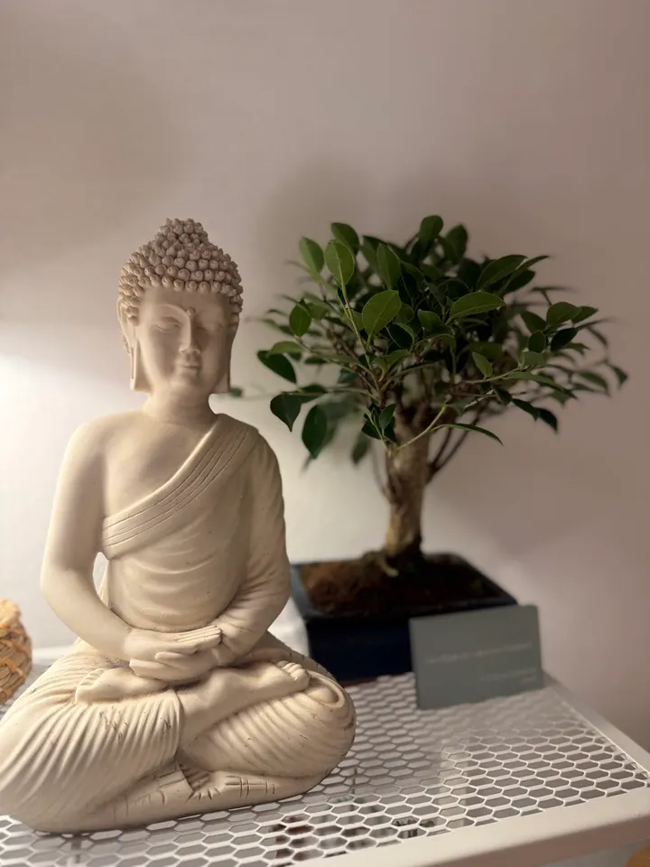YOGAOMMM Studio — yoga-studio en Chamberí, Madrid — 2