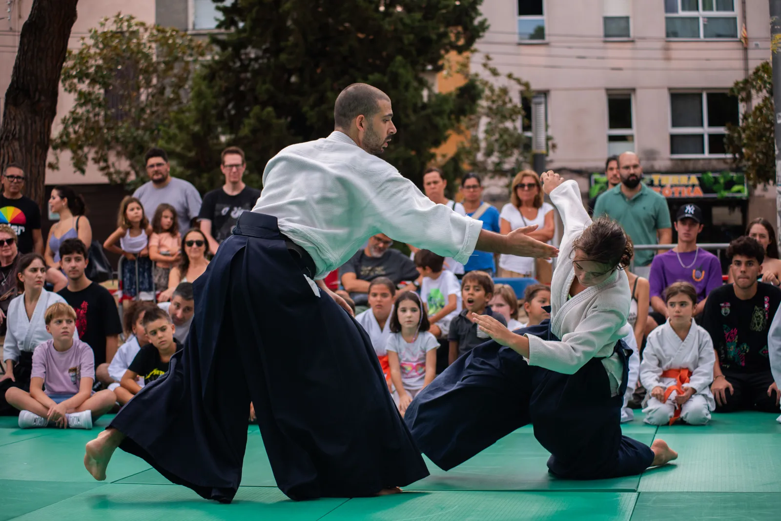 Mushin Dōjō Sabadell — artes marciales-studio en el Centre, Sabadell — 2