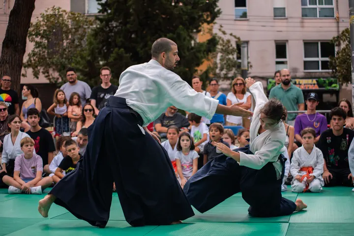 Mushin Dōjō Sabadell — artes marciales-studio en el Centre, Sabadell — 2