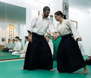 Mushin Dōjō Sabadell — kampsport-studio i el Centre, Sabadell — bild 3
