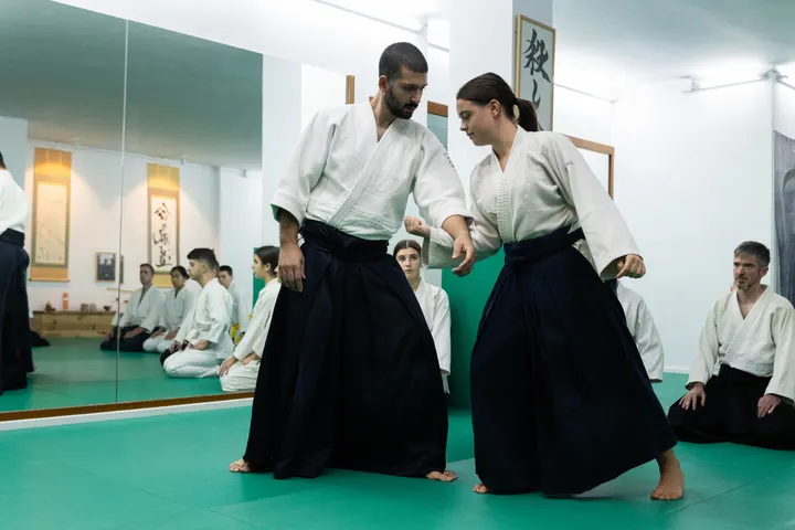 Mushin Dōjō Sabadell — artes marciales-studio en Sabadell — 3