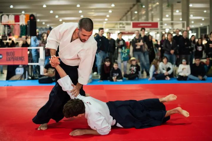 Mushin Dōjō Sabadell — artes marciales-studio en Sabadell — 6