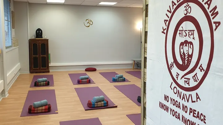 YogaLite Ecole de traditionnel — Yoga à Marcq-en-Barœul