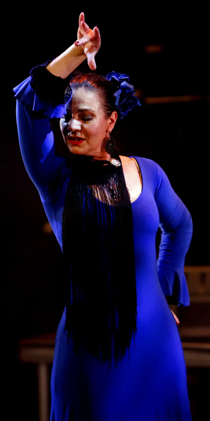 Liz Dans Flamenco Prinsegracht — dans-studio in Den Haag — 3