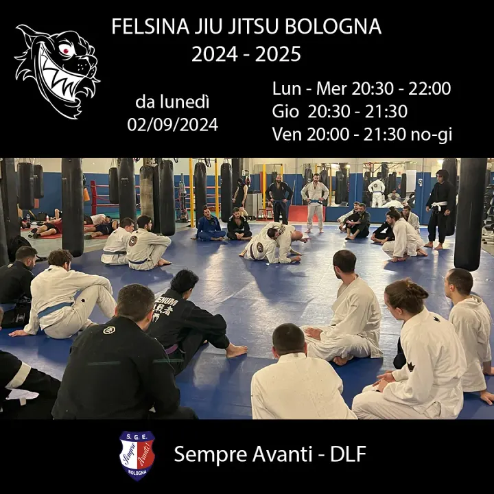 FELSINA JIU JITSU BOLOGNA — bjj-studio a San Donato, Bologna — 3