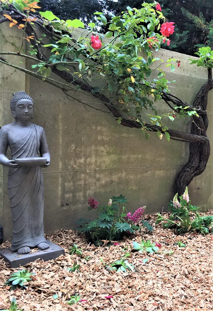 Association YOGAMana — yoga-studio à Saint-Cloud, Paris — 2