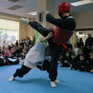 Escuela De Disciplinas Orientales — martial arts-studio i Ametzola, Bilbao
