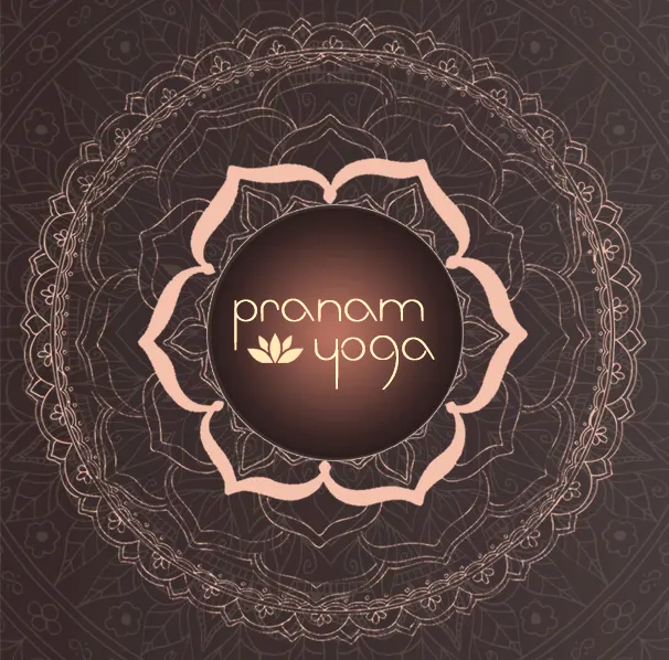 Pranam Yoga Vaise — yoga-studio à Vaise, Lyon — 2