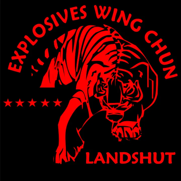 Explosives Wing Chun — Kampfsport in Mitterwöhr, Ergolding