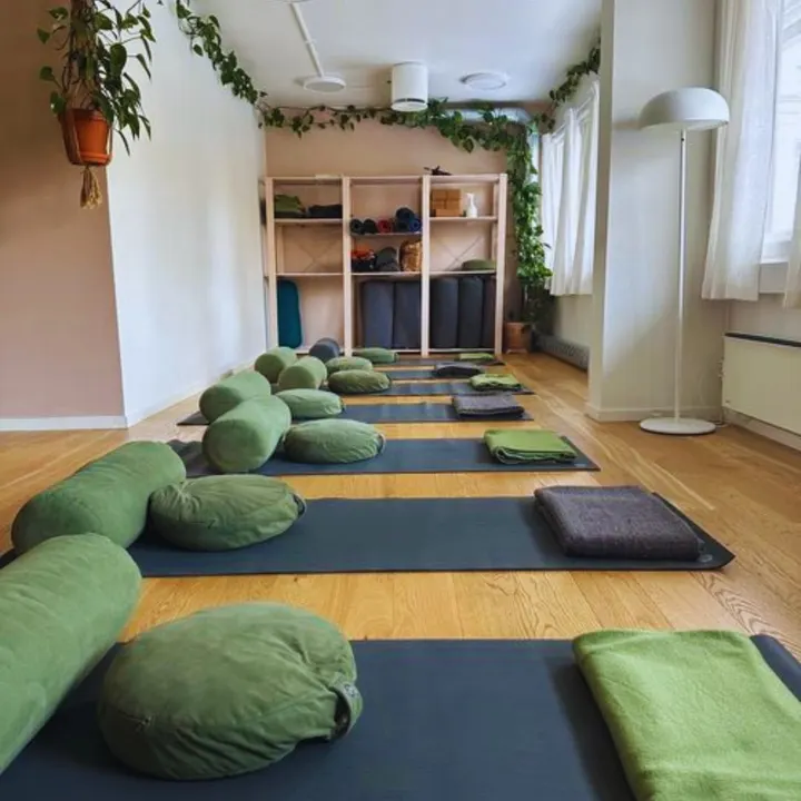 Vital Oslo — Breathwork i St. Hanshaugen, Oslo