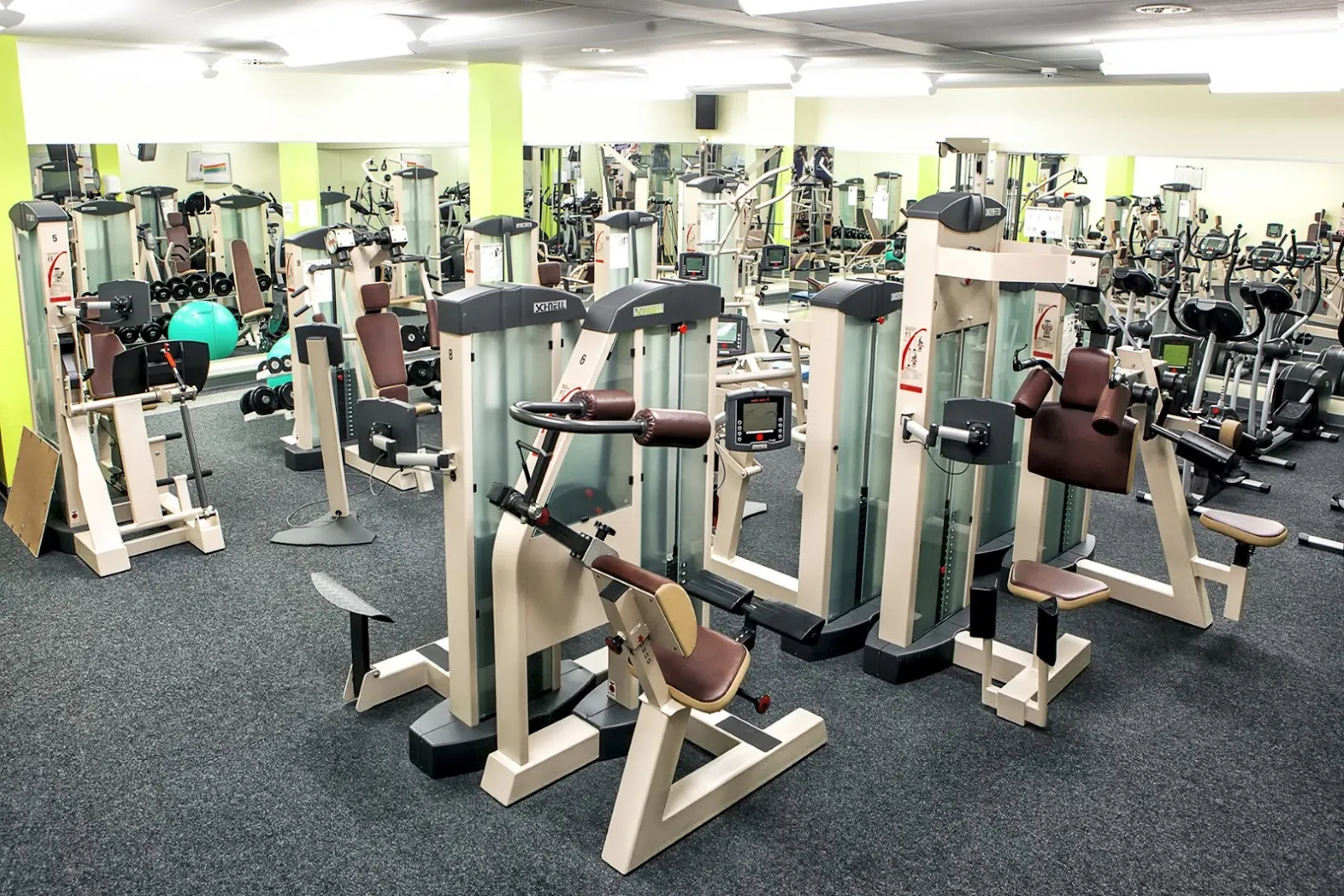 Fitness-Studio "Am Südpark" — fitnessstudio in Löbervorstadt, Erfurt — 3
