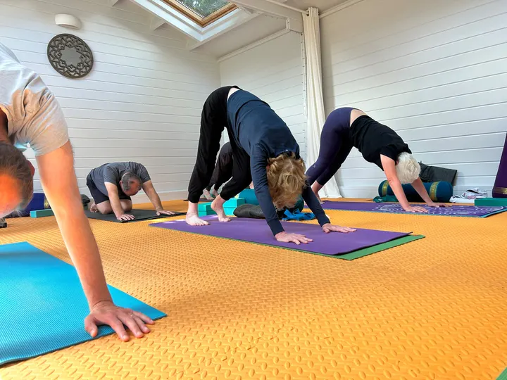 CatrionaYoga Garden — yoga-studio in London — 3