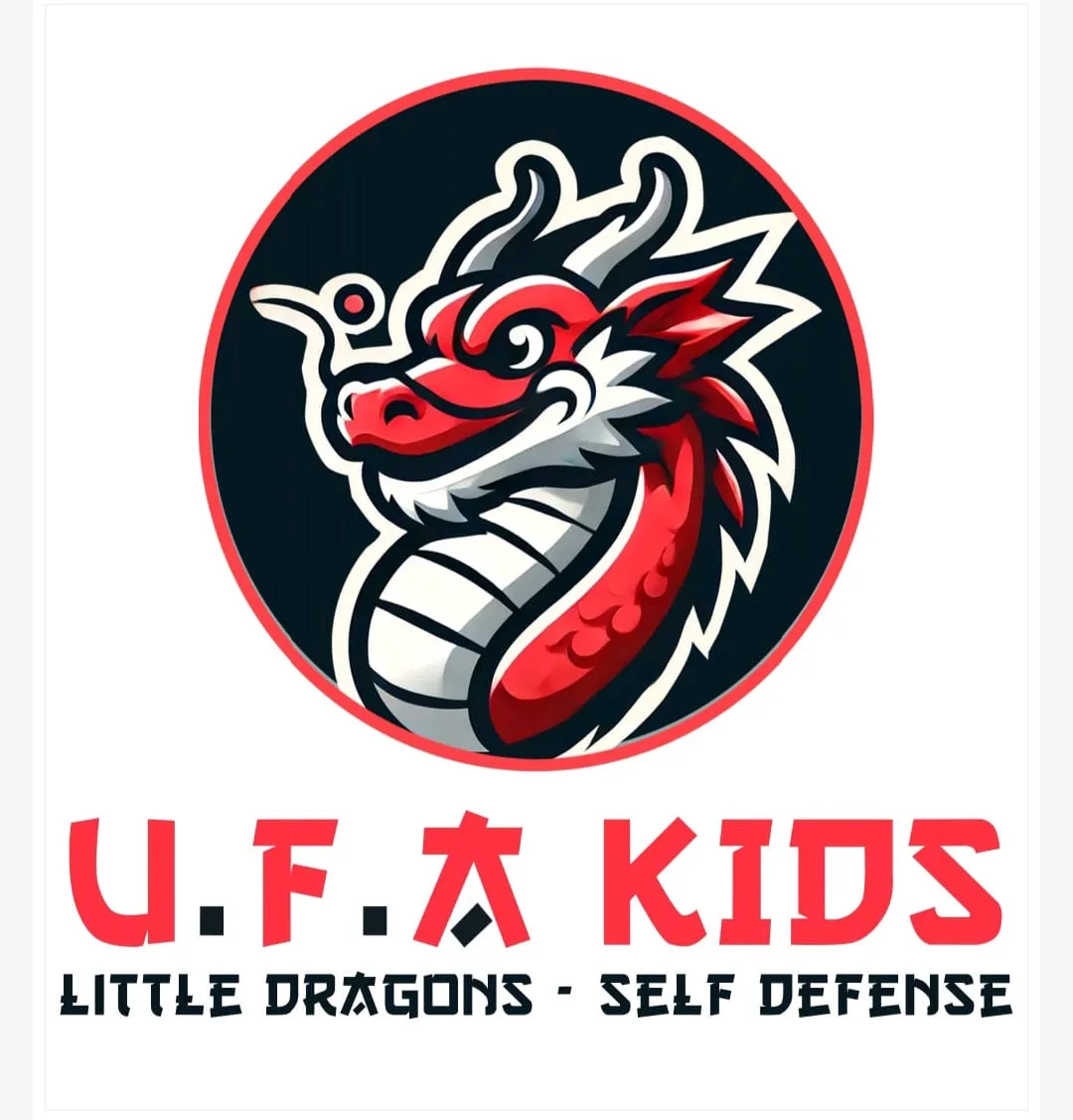 Urban Fight Academy — artes marciales-studio en Fuengirola — 4