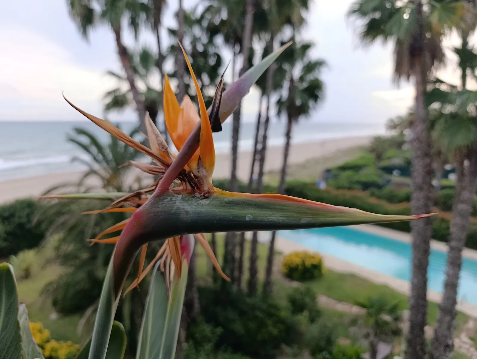Ama Yoga Loft — yoga-studio en Gavà — 3