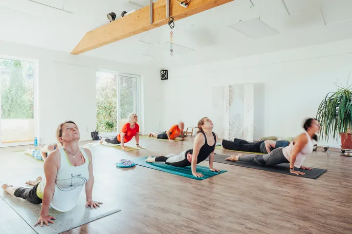Ashtanga Yoga Schule Anette Holzmann — yoga-studio in Hannover — 3