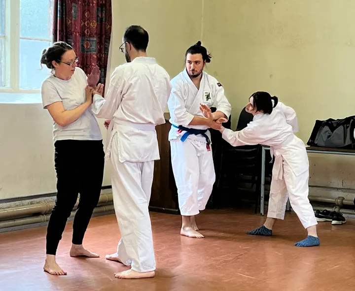 Bristol Shorinji Kempo Dojo — Martial Arts in Totterdown, Bristol