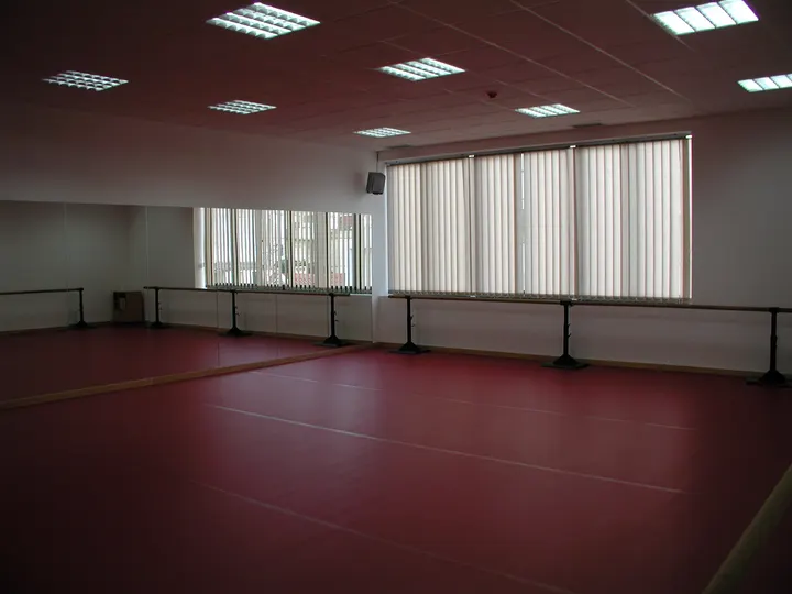 Escola Vocacional de Dança das Caldas da Rainha — dança-studio em Caldas da Rainha — 4