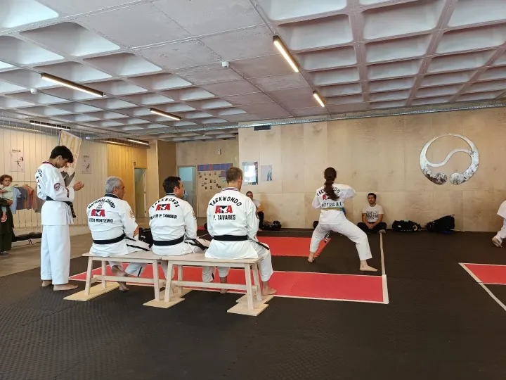 STAT - Porto — Artes marciais em Basílio Teles, Matosinhos