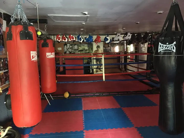 Norton Radstock Amateur Boxing Club — boxing-studio in Radstock — 5