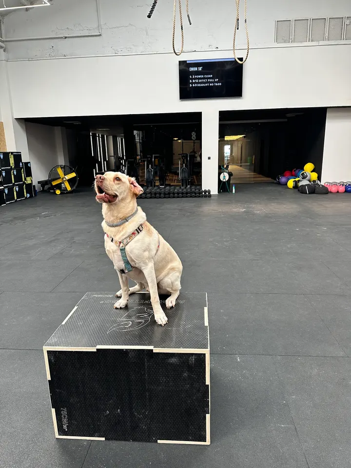 Legend CrossFit & Hyrox — crossfit-studio en Mestalla, Valencia — 3
