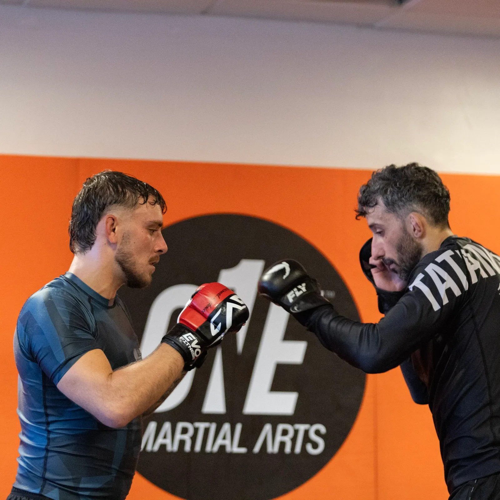 One Martial Arts - One Jiu Jitsu Guildford — bjj-studio in Guildford — 3