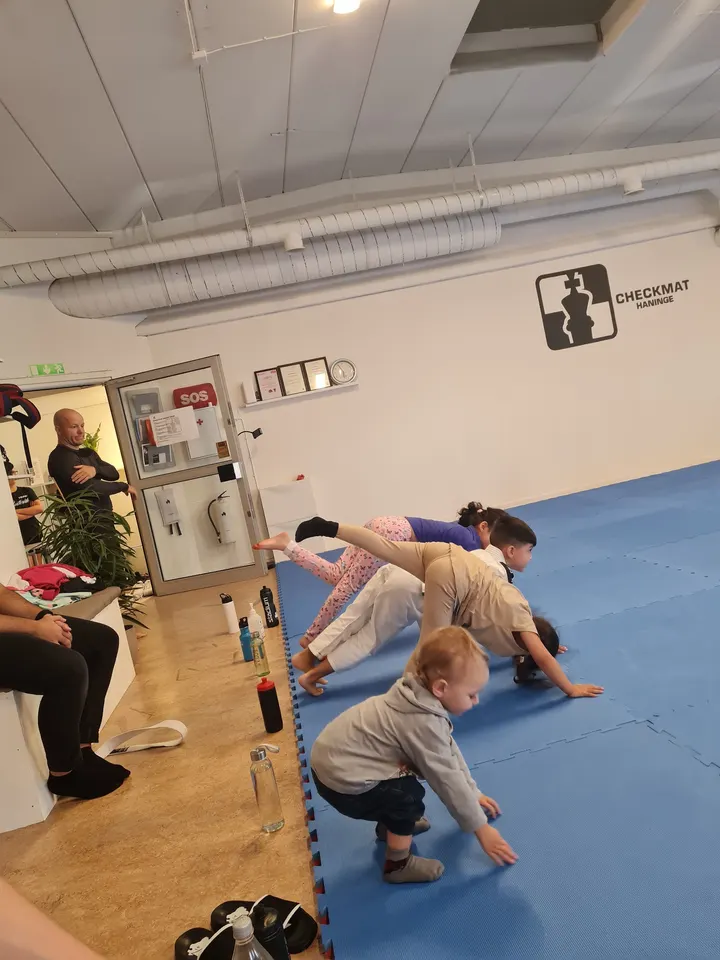 Checkmat Haninge Grapplingklubb — bjj-studio in Stockholm — 4